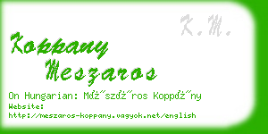 koppany meszaros business card